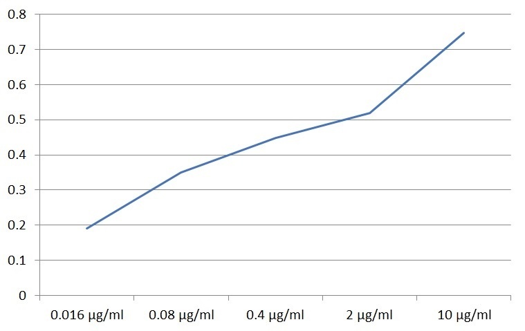 SIGLEC10 Antibody