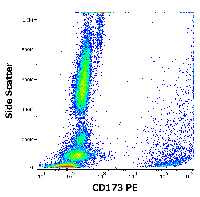 CD173 Antibody (PE)