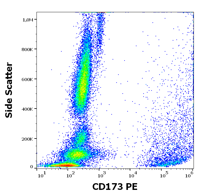 Anti-Hu CD173 PE