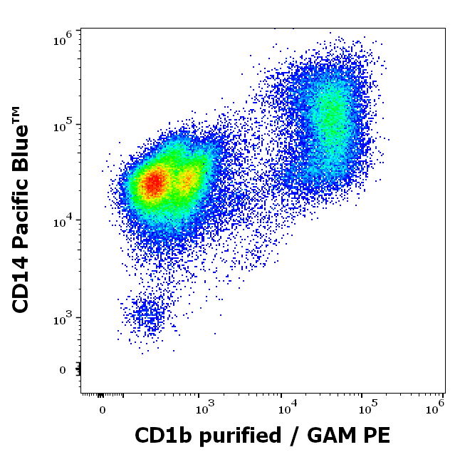 Anti-Hu CD1b Purified