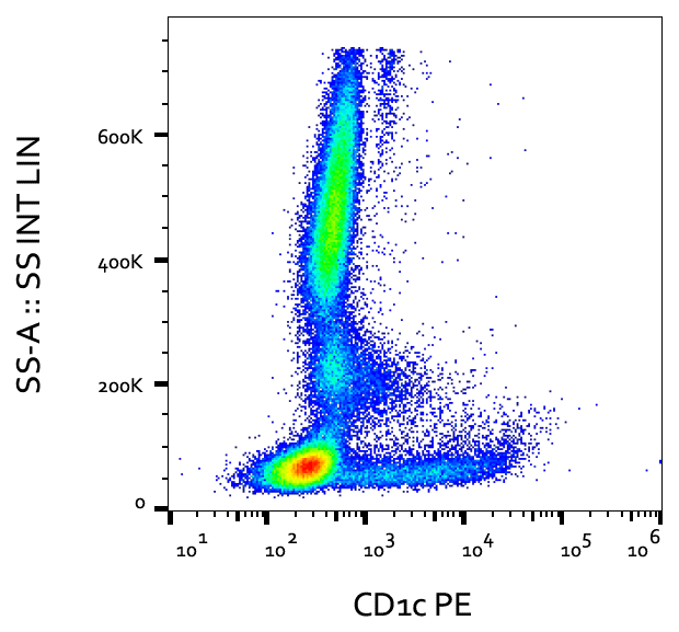 Anti-Hu CD1c PE