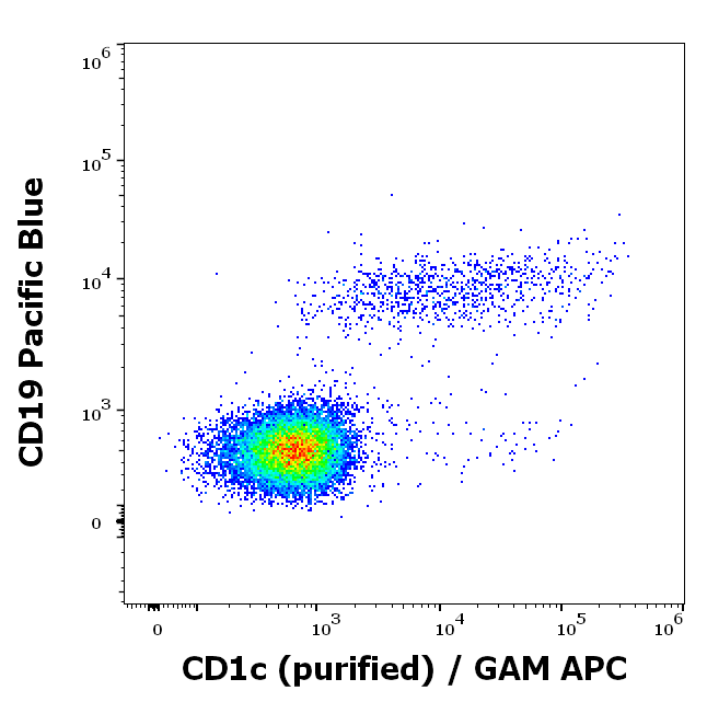 Anti-Hu CD1c Purified