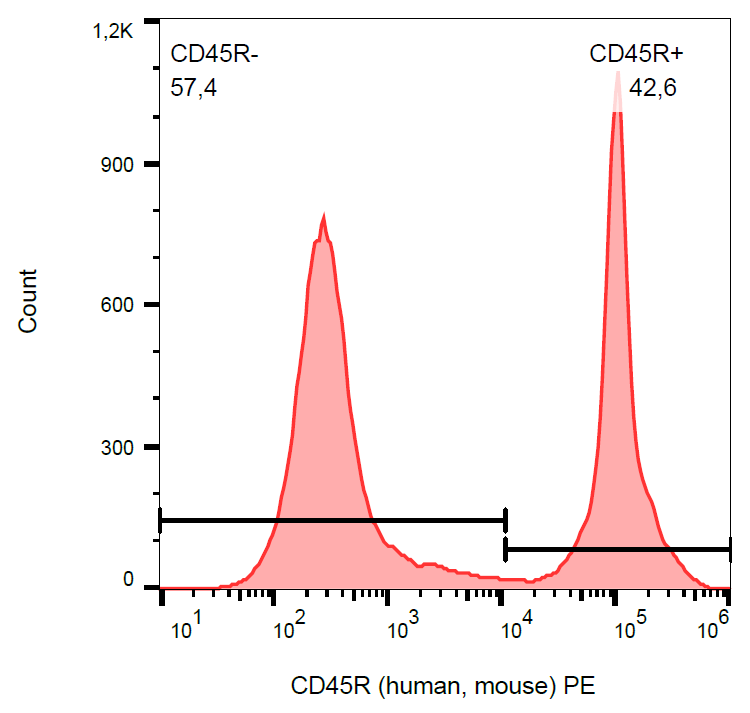 CD45R antibody (PE)