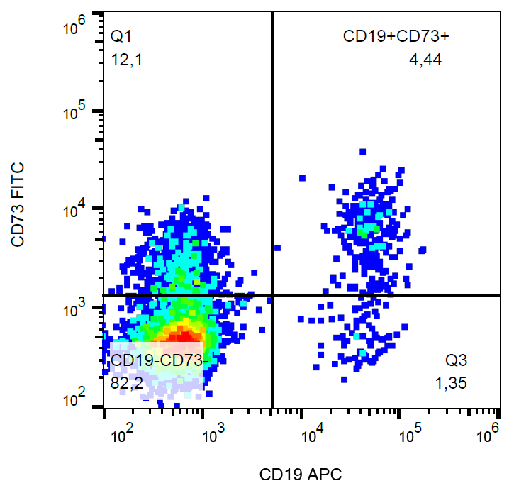 CD73 antibody (FITC)