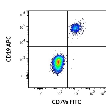 Anti-Hu CD79a FITC