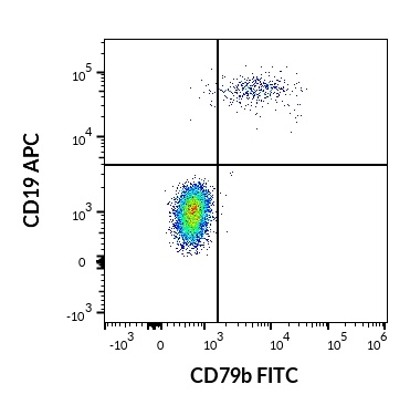 CD79b antibody (FITC)