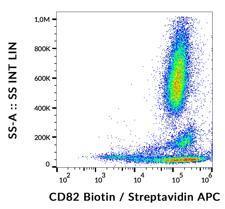 CD82 antibody (Biotin)