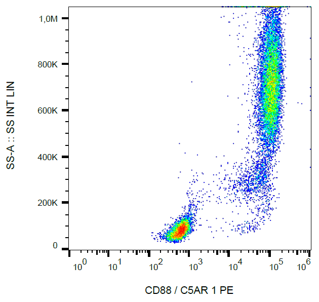 CD88 antibody (PE)