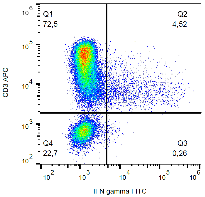 IFN gamma antibody (FITC)