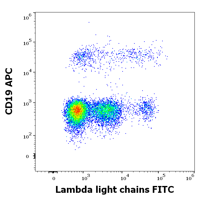 Ig Lambda Light Chain Antibody (FITC)