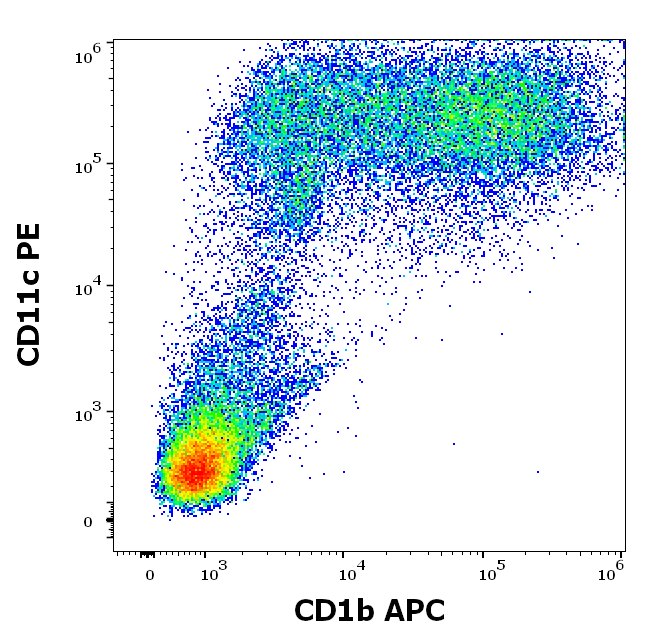Anti-Hu CD1b APC