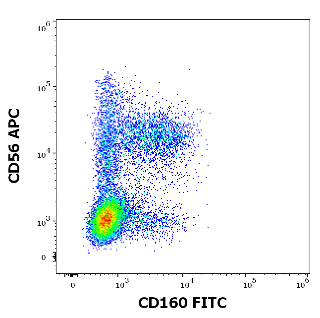 CD160 Antibody (FITC)