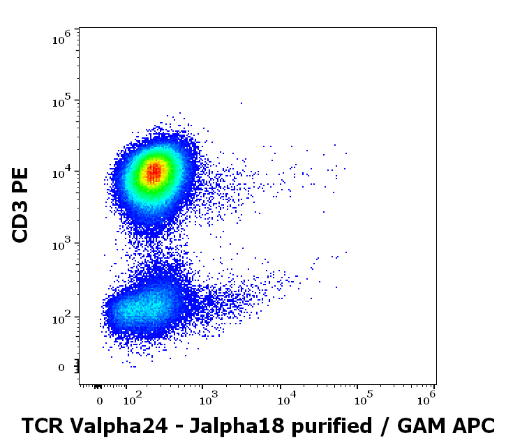 TCR Valpha24-Jalpha18 Antibody