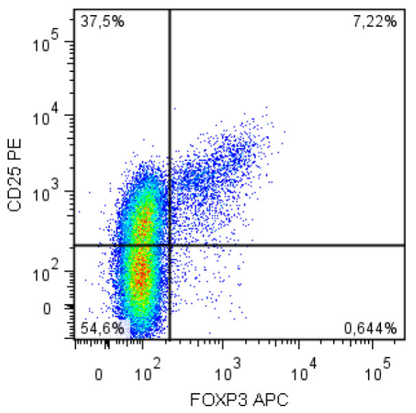 FoxP3 antibody (APC)