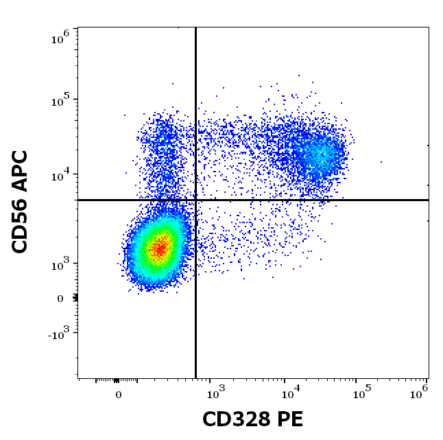CD328 antibody (PE)