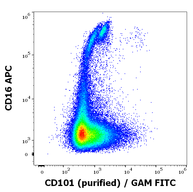 Anti-Hu CD101 Purified