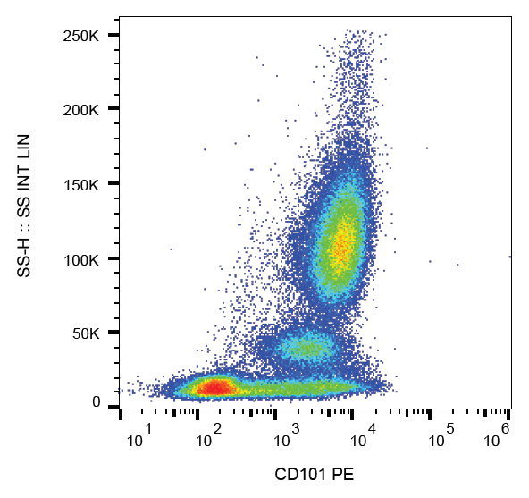 CD101 antibody (PE)