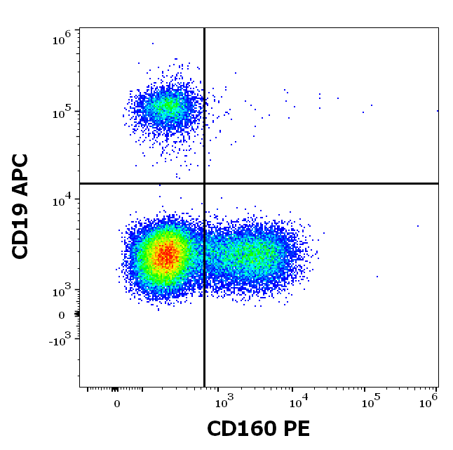 CD160 antibody (PE)
