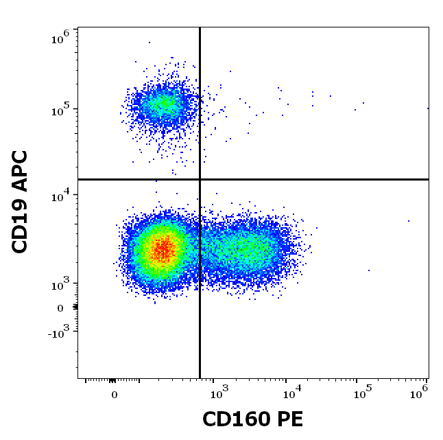 Anti-Hu CD160 PE