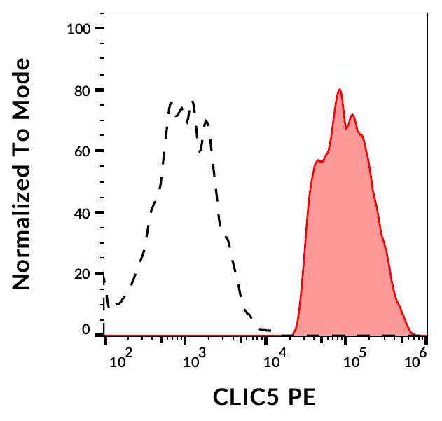 CLIC5a antibody (PE)