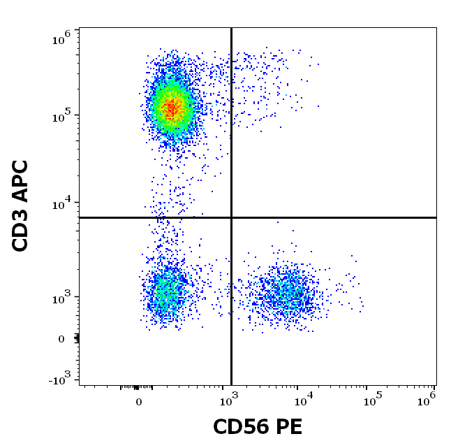 CD56 antibody (PE)