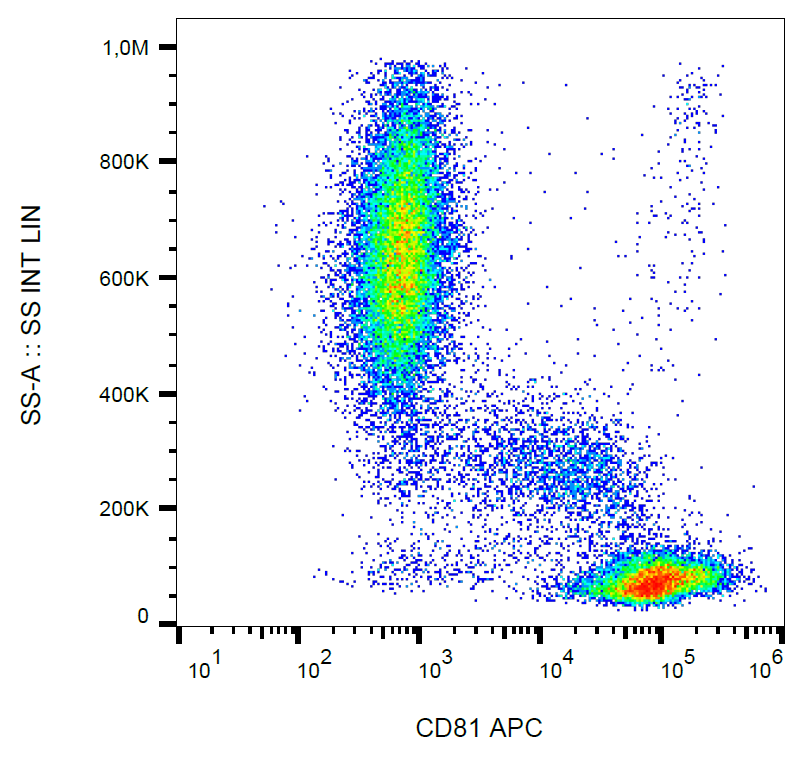 CD81 antibody (APC)
