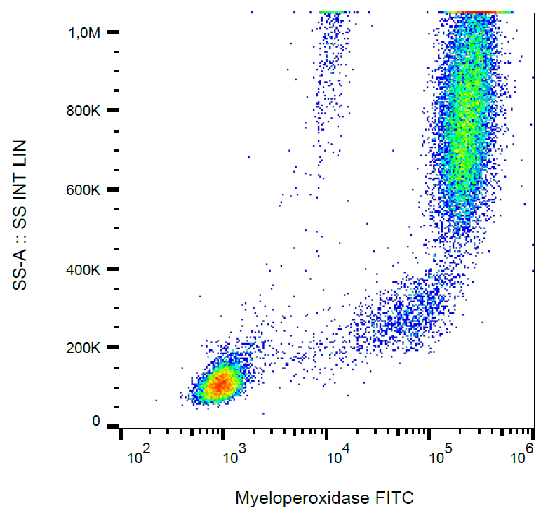 Myeloperoxidase antibody (FITC)