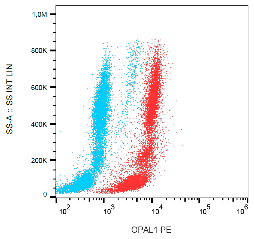 OPAL1 antibody (PE)