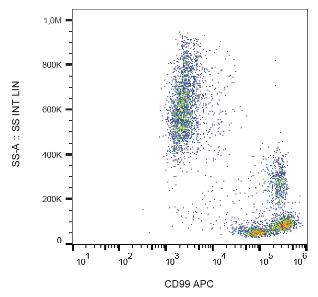 CD99 antibody (APC)