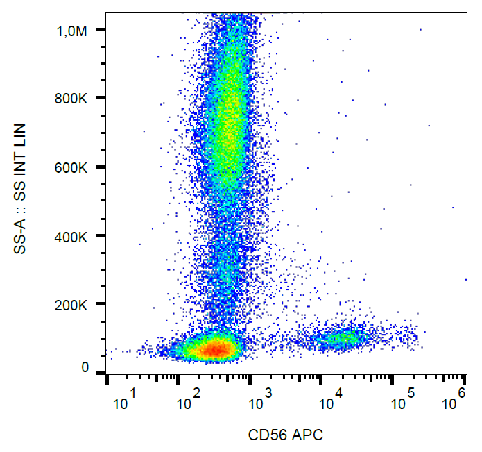 CD56 antibody (APC)