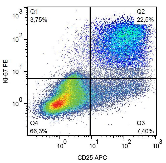 Ki-67 antibody (PE)