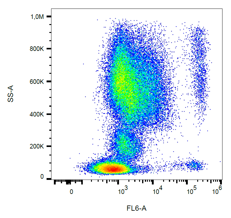 Anti-Hu CD193 Purified