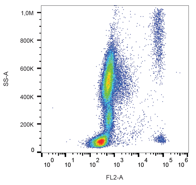Anti-Hu CD193 PE