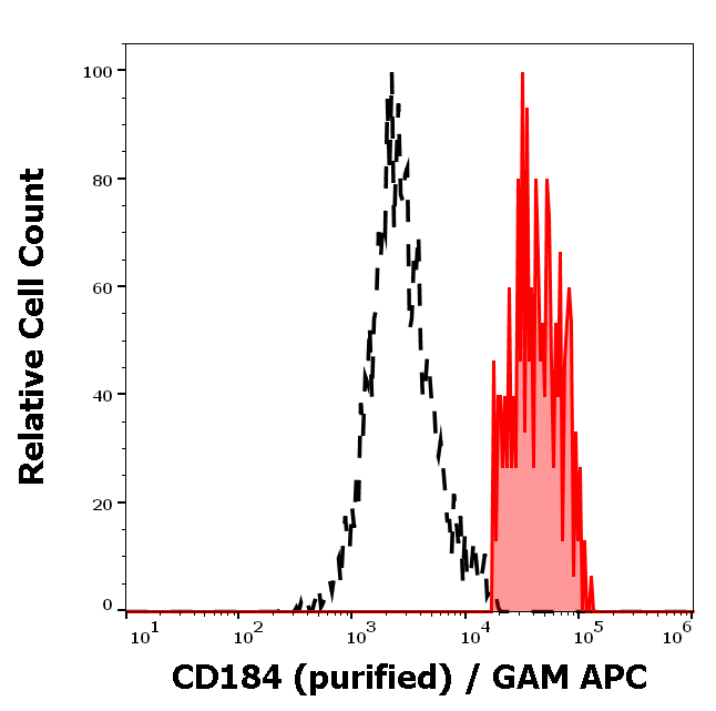 Anti-Hu CD184 Purified