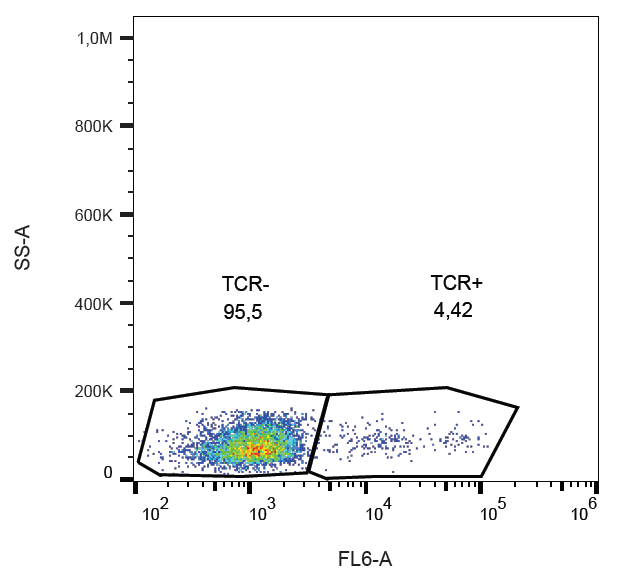 TCR gamma/delta antibody