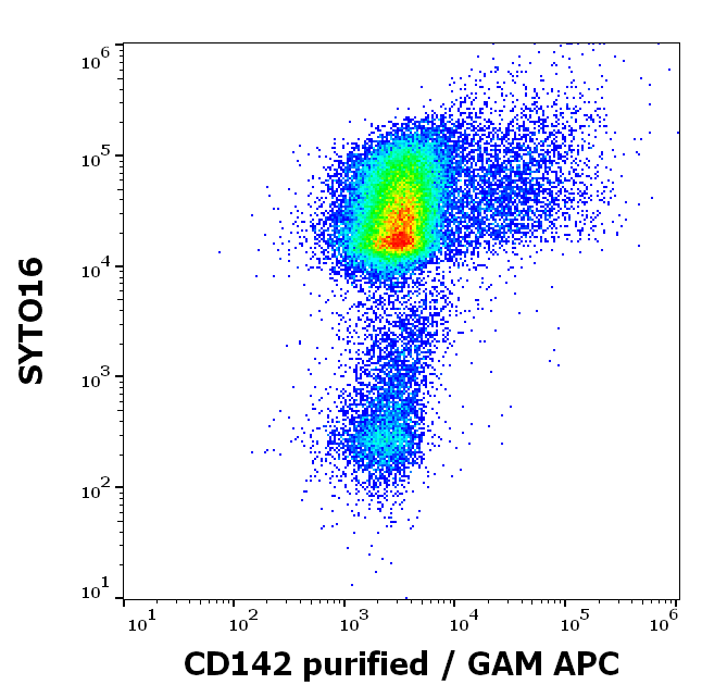 Tissue factor antibody