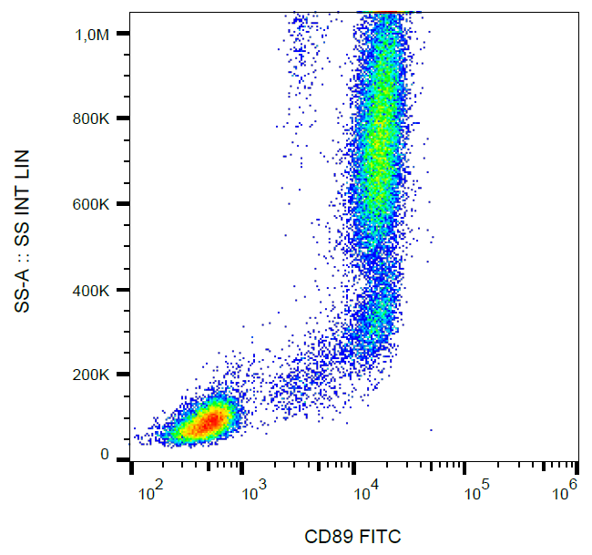 CD89 antibody (FITC)