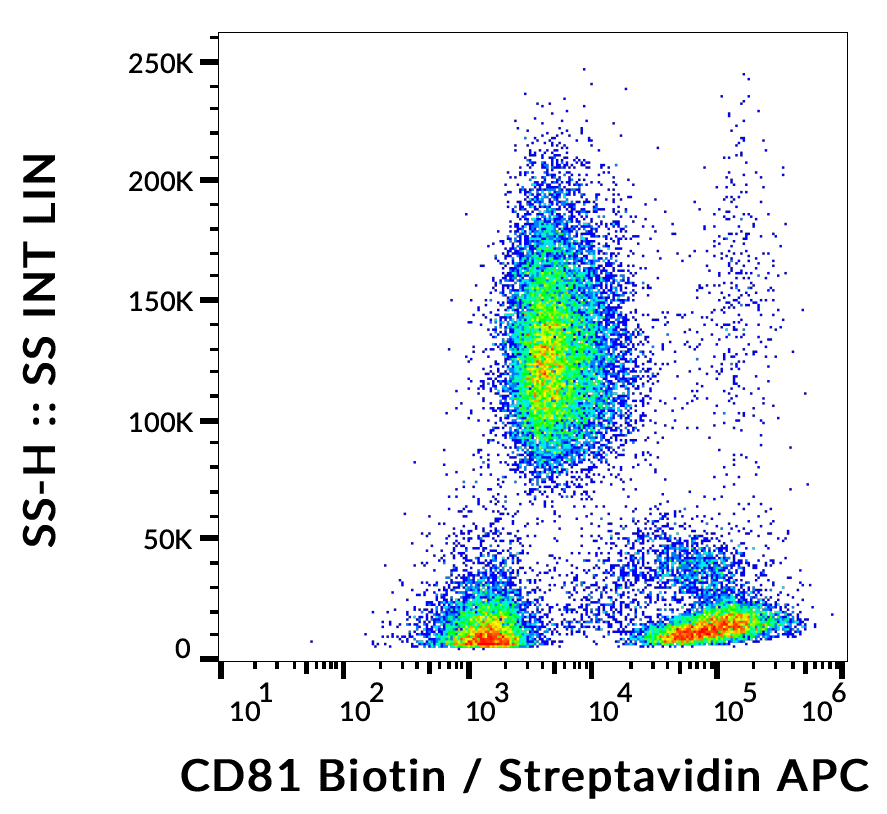 CD81 antibody (biotin)