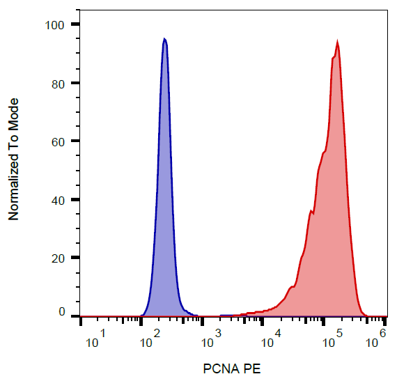 PCNA antibody (PE)