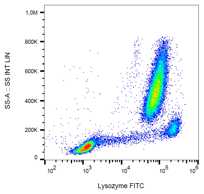 Lysozyme antibody (FITC)