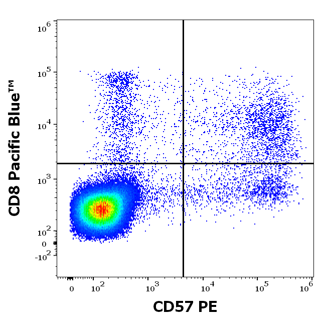 CD57 antibody (PE)