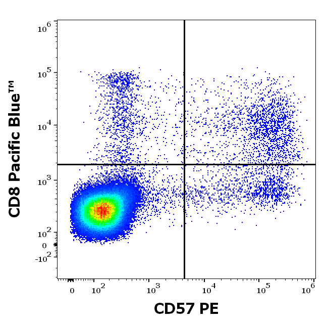 Anti-Hu CD57 PE