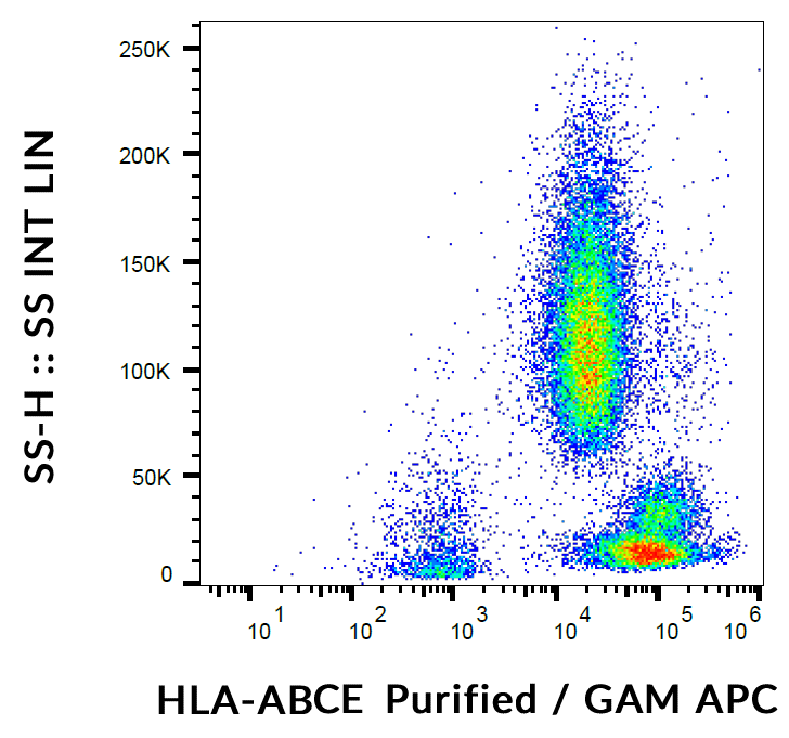 Anti-HLA-ABCE Purified