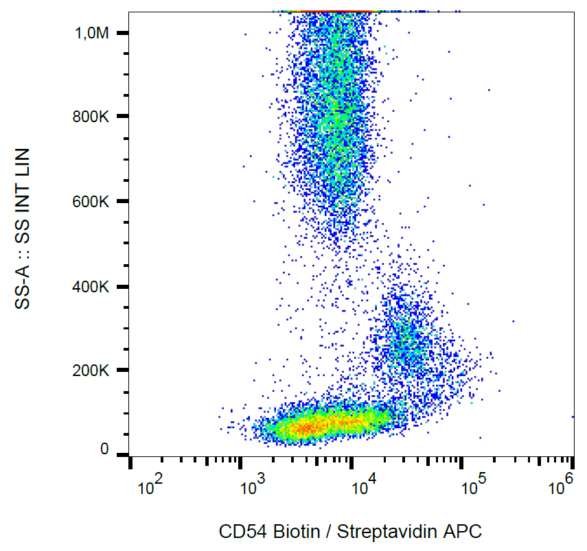 CD54 antibody (Biotin)