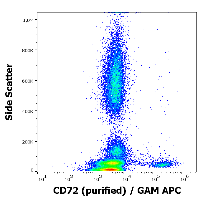 Anti-Hu CD72 Purified