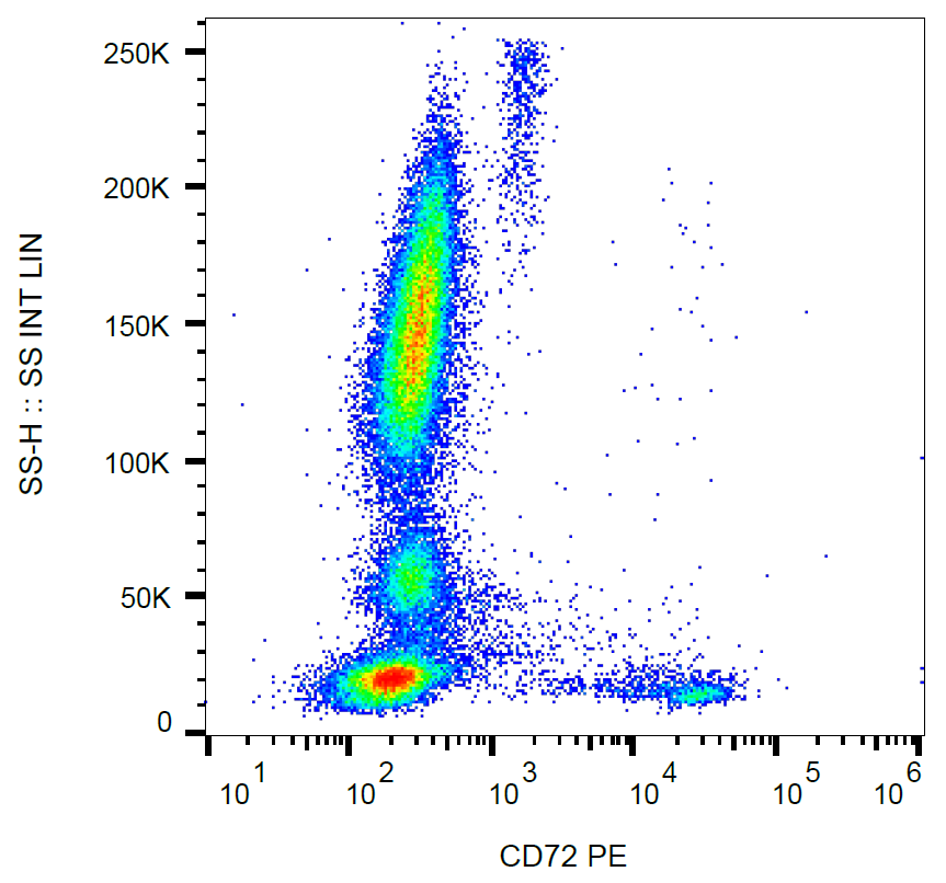 CD72 antibody (PE)