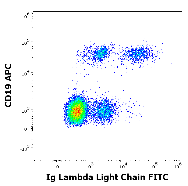 Lambda (L chain) antibody (FITC)