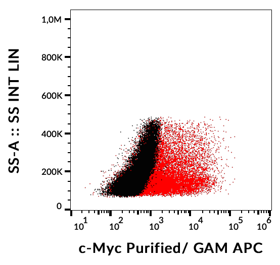Anti-c-Myc tag Purified