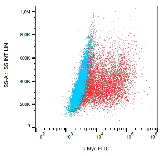 c-Myc antibody (FITC)
