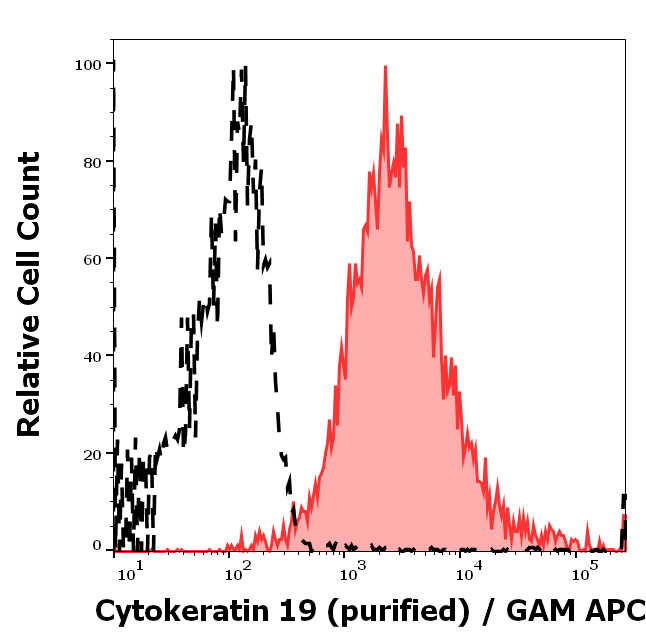 Anti-Cytokeratin 19 Purified